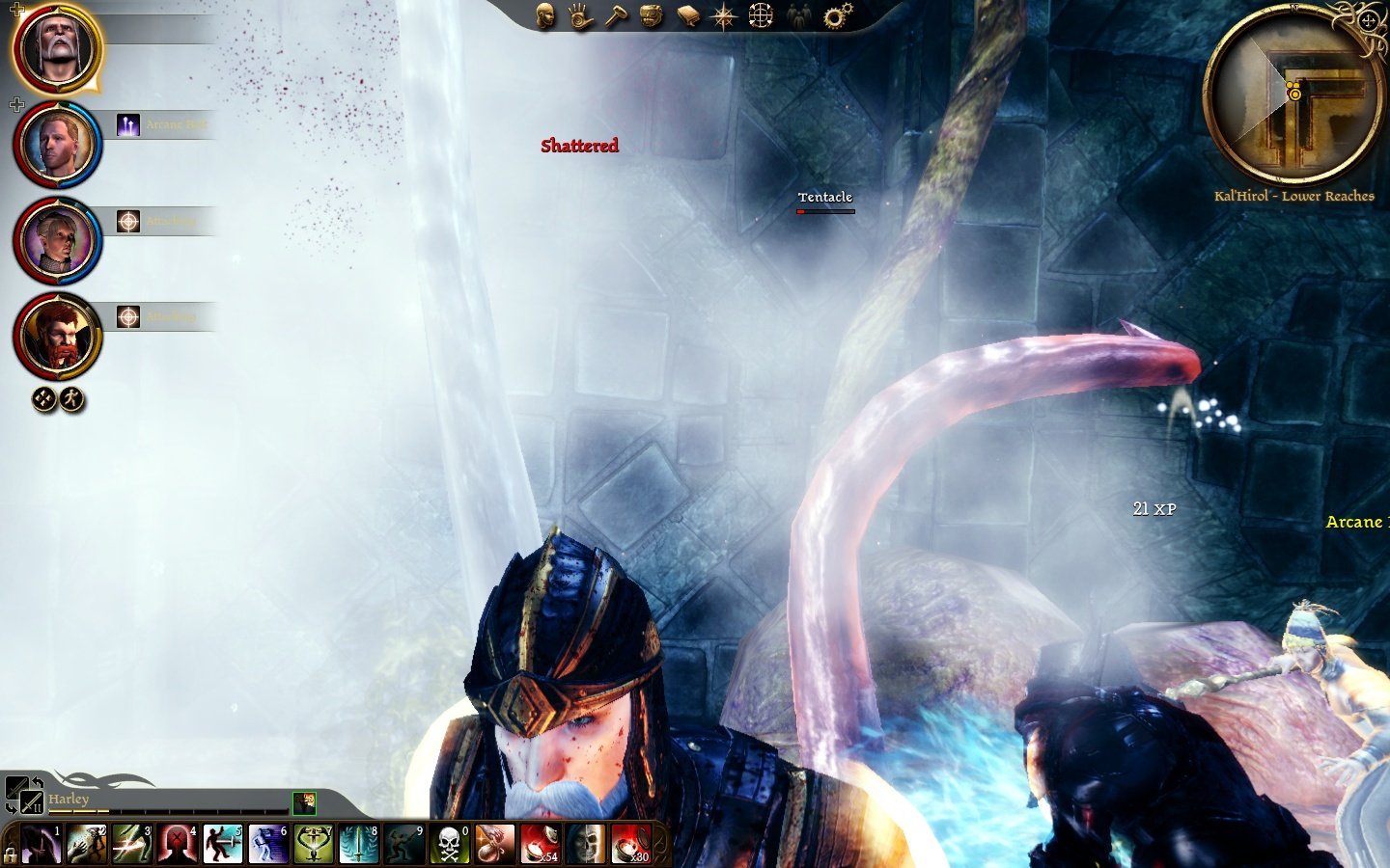 A screenshot from the Dragon Age Origins expansion of tentacles flailing about.